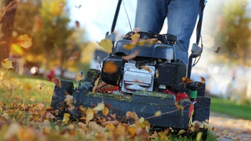 Tacheles-Diez – Inspirationen für Zuhause, Garten, Genuss und Leben das versteckte timing das experten für den letzten rasenschnitt empfehlen wird sie total überraschen heute