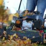 das versteckte timing das experten für den letzten rasenschnitt empfehlen wird sie total überraschen heute