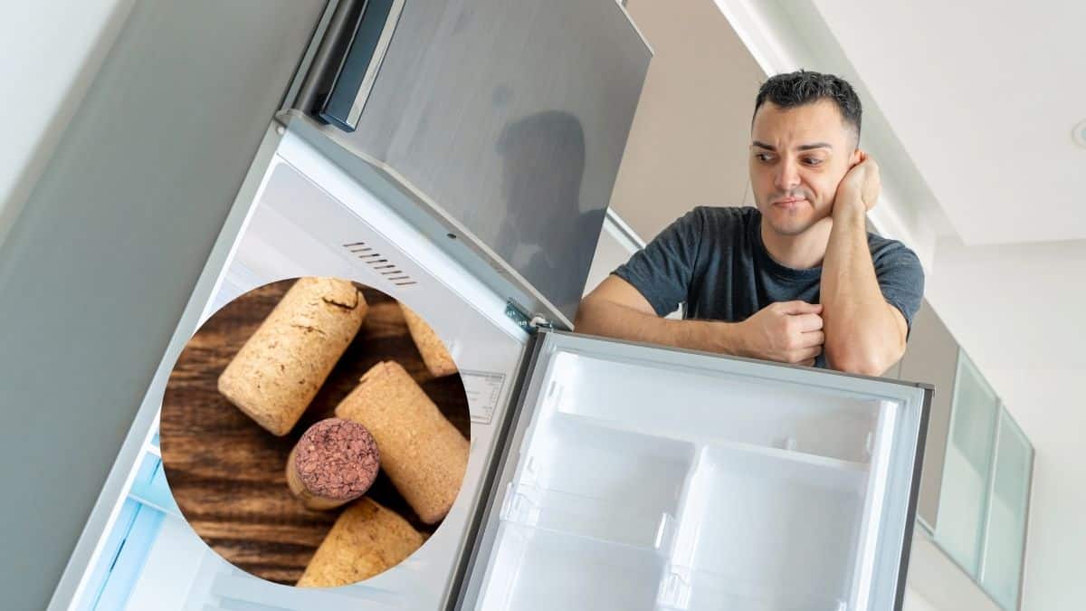 Diesen Korken-Trick im Kühlschrank kennt kaum jemand, aber er wirkt sofort