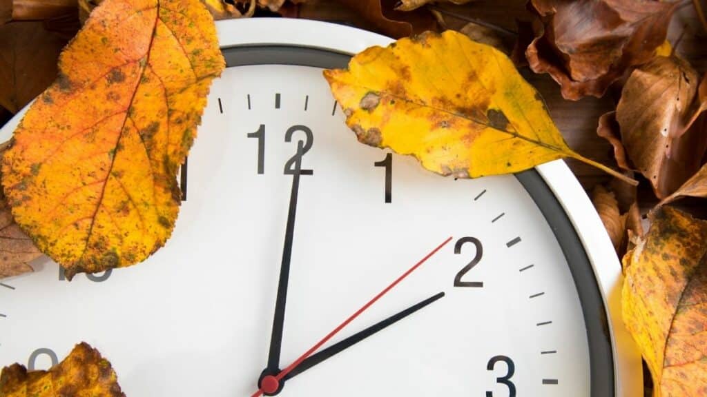 Tacheles-Diez – Inspirationen für Zuhause, Garten, Genuss und Leben dieses zeitumstellungs geheimnis bringt ihre herbstpflanzen auf hochtouren und niemand hat es ihnen jemals verraten