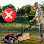Schlechte Nachricht für Gartenfreunde: Ab Oktober ist Mähen von 12 bis 16 Uhr verboten