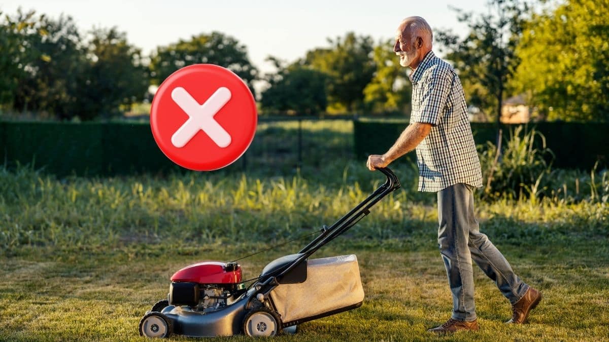 Schlechte Nachricht für Gartenfreunde: Ab Oktober ist Mähen von 12 bis 16 Uhr verboten