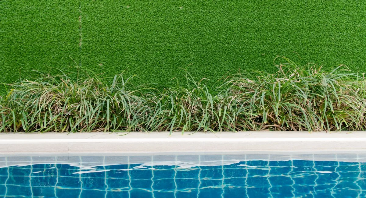 Illustration, gartengestaltung mit pool ideen bilder