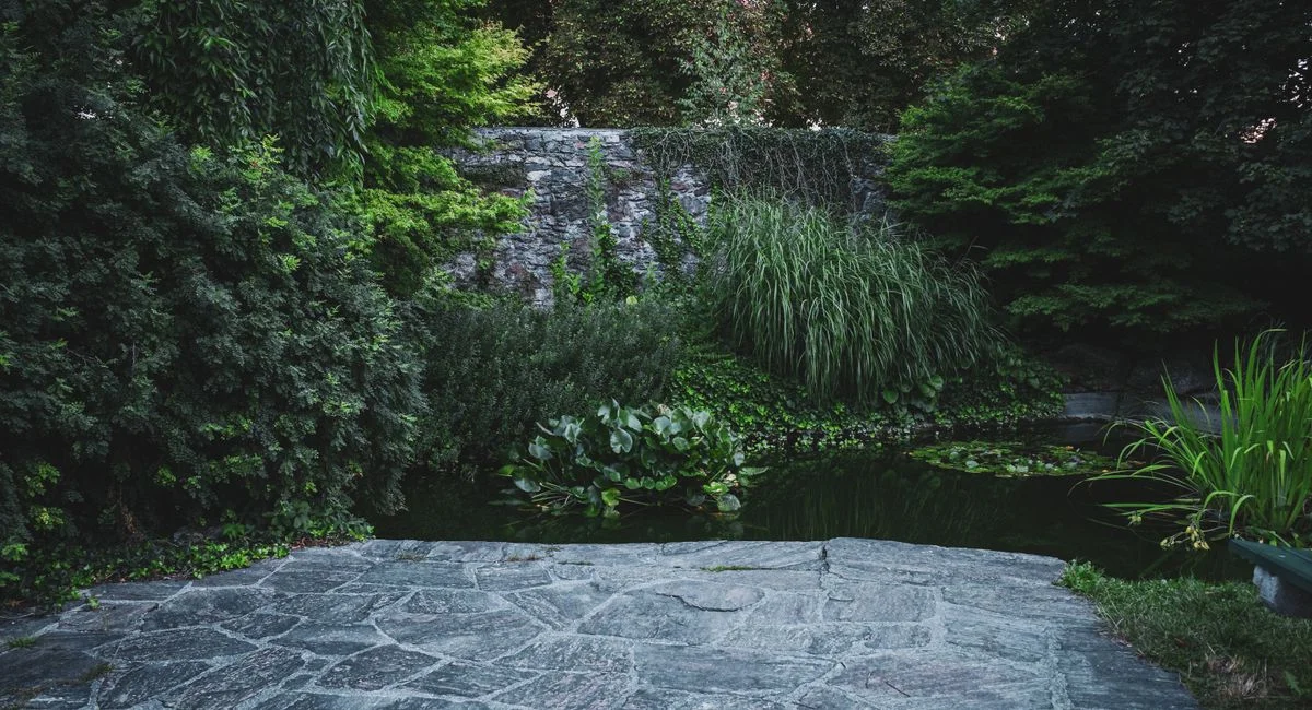 Illustration, gartengestaltung mit steinen und gräsern modern