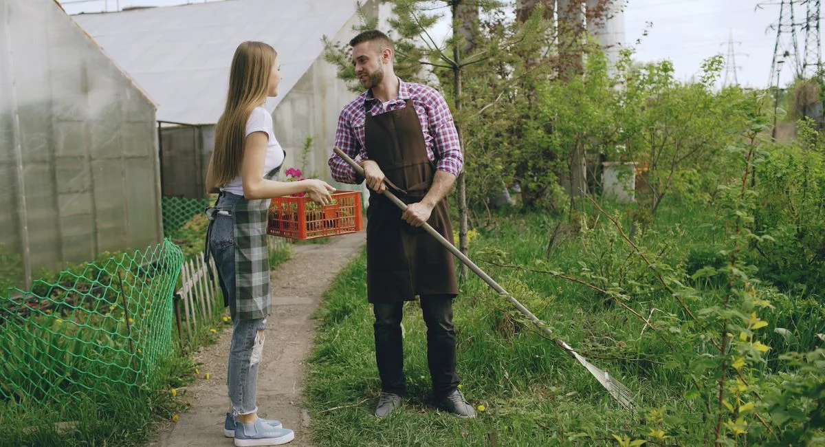 Illustration, suche helfer für gartenarbeit privat