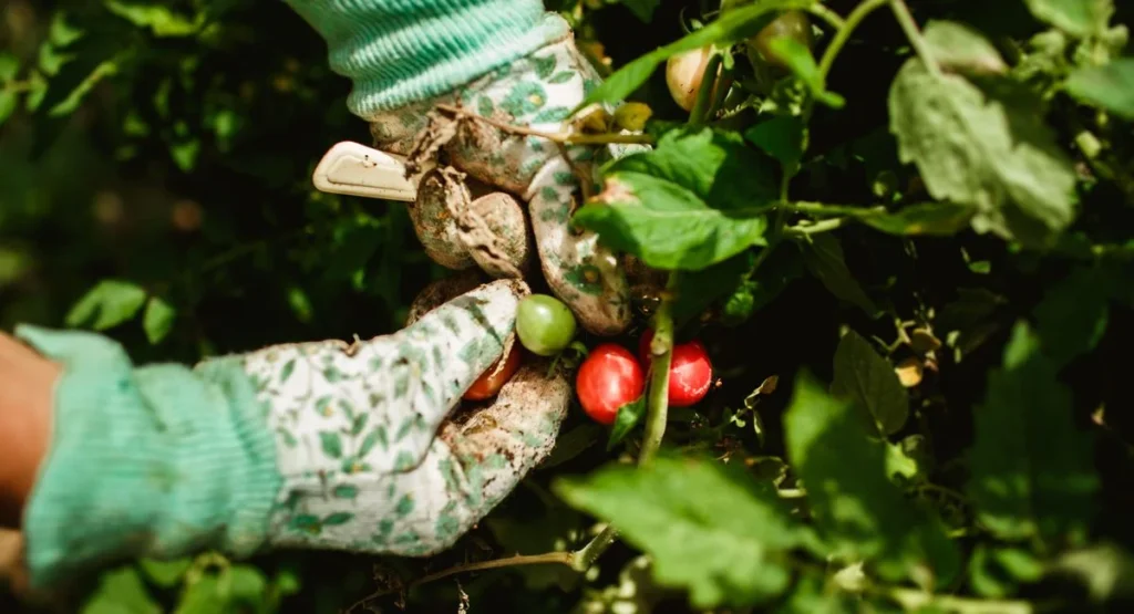 Privatperson sucht Gartenhelfer bei der Arbeit im Grünen