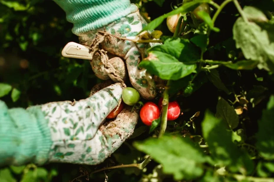 Privatperson sucht Gartenhelfer bei der Arbeit im Grünen